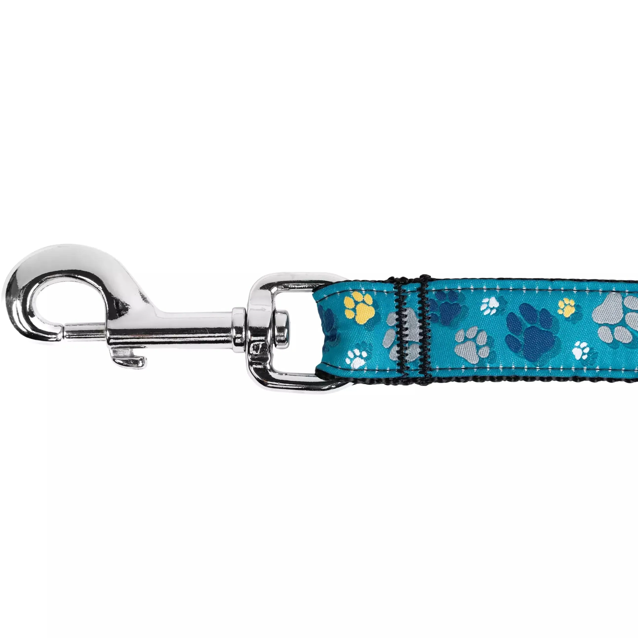 RC Dog Leash Clay Floral