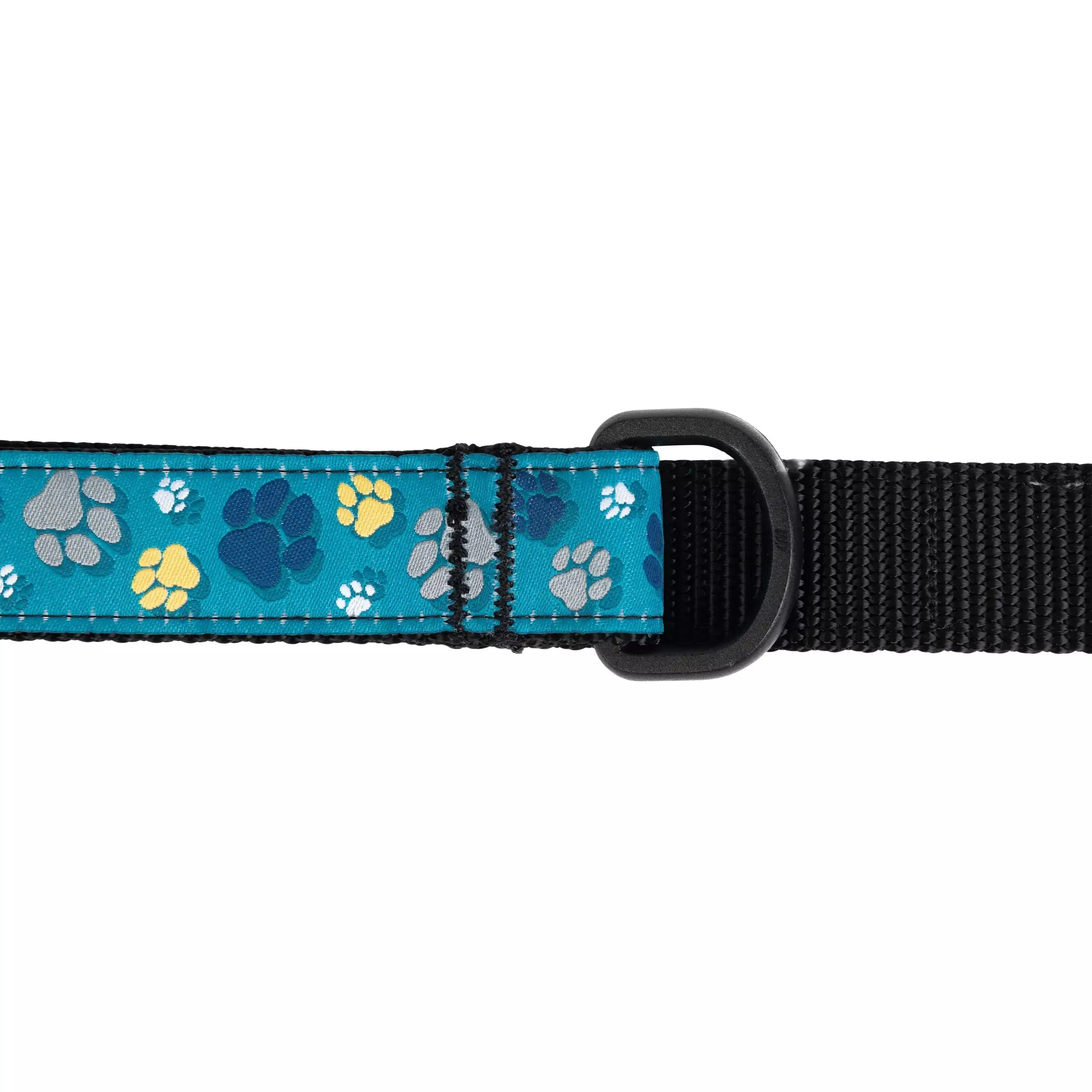 RC Dog Leash Clay Floral