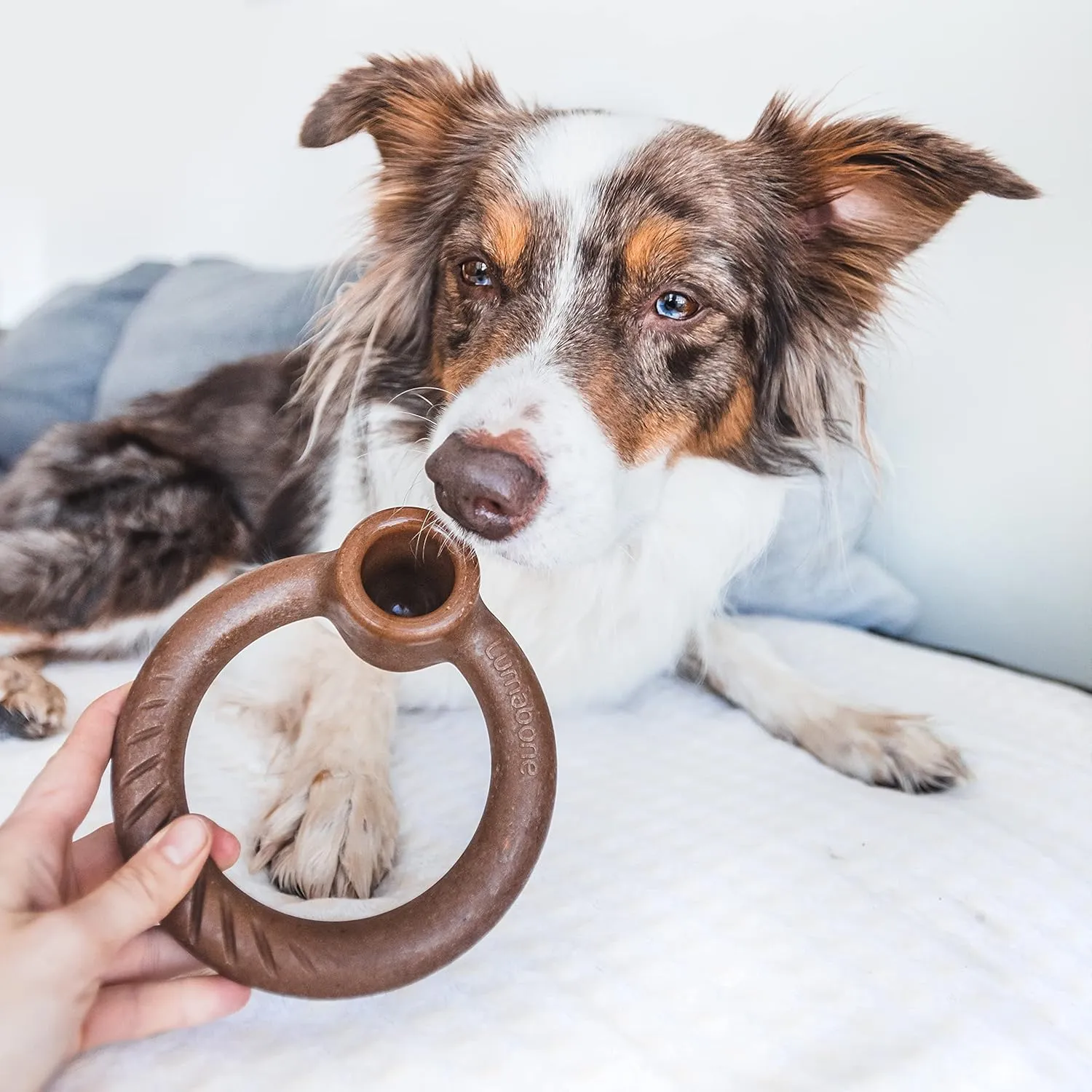 Ring Stuffer Durable Chew Toy for Aggressive Chewers, Real Beef, Made in USA, Small