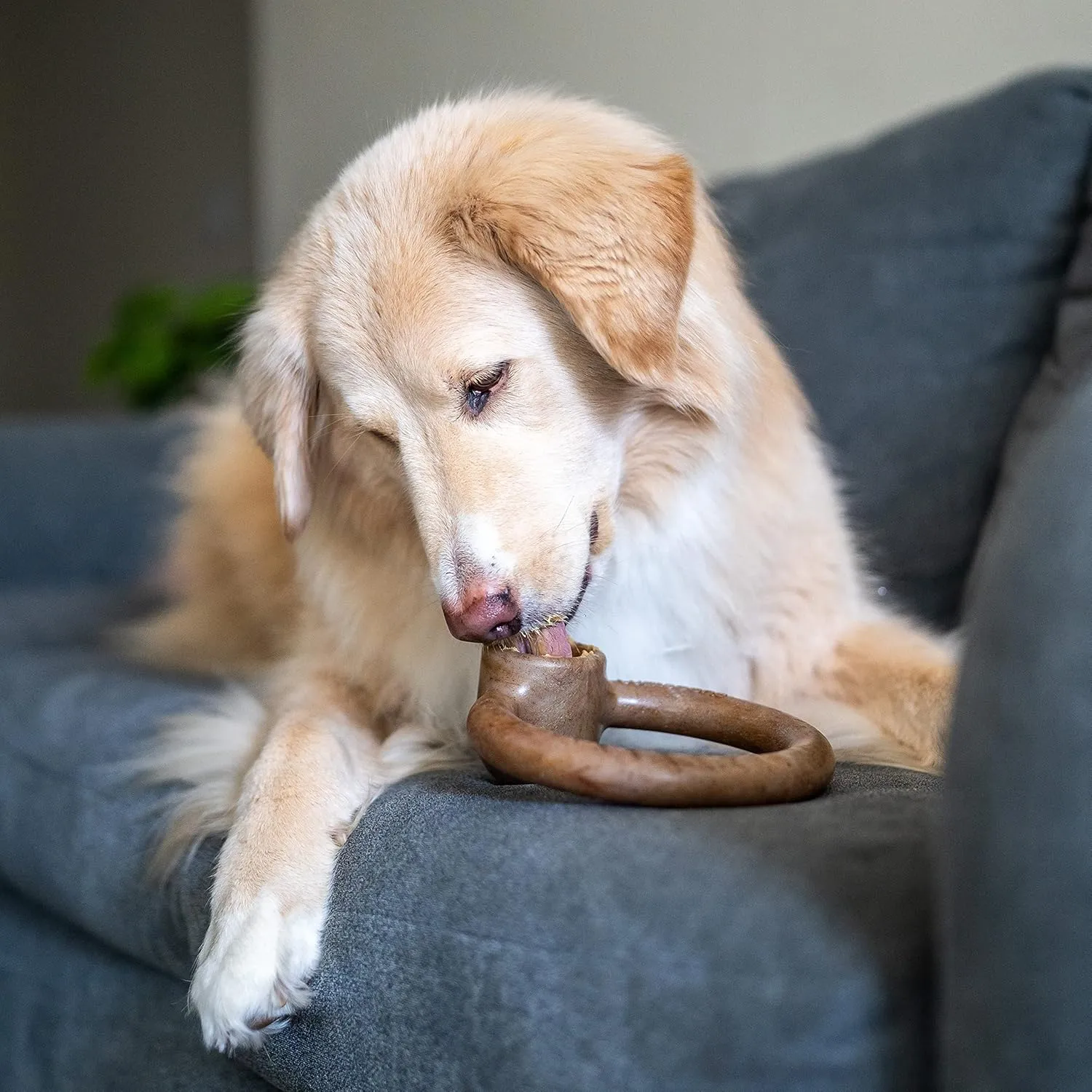 Ring Stuffer Durable Chew Toy for Aggressive Chewers, Real Beef, Made in USA, Small