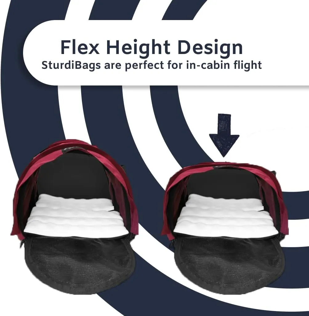 SturdiBag Large Pet Travel Carrier: Flexible Height for Cat and Dog Soft Sided with Safety Clips and Seatbelt Straps | Purple, 18" x 12" x 12" (PN: SB2-PRO-P)