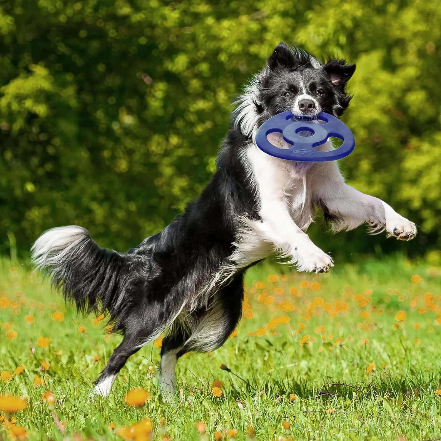 SuperChewy Tough Tug-of-War Flying Disc Toy | Lifetime Replacement | Strong Natural Rubber | Great Tug Disc Fetch Toy for Dogs | Ultra Durable Chew Toys for Aggressive Chewers | for All Breeds