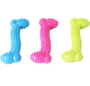 Transer Rubber Dog Toy: Squeaky Molar Training Fun