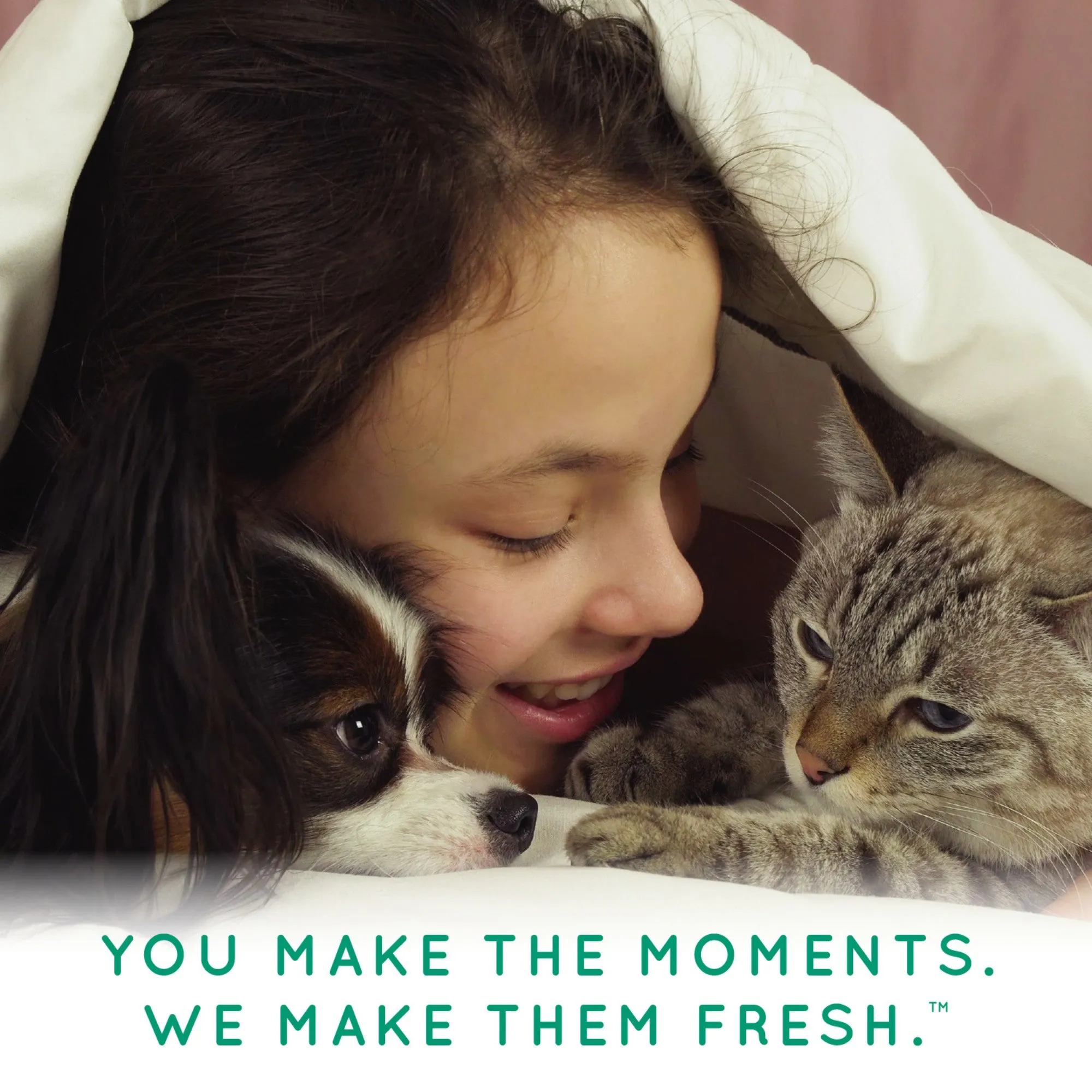 Tropiclean Deodorizing Pet Wipes