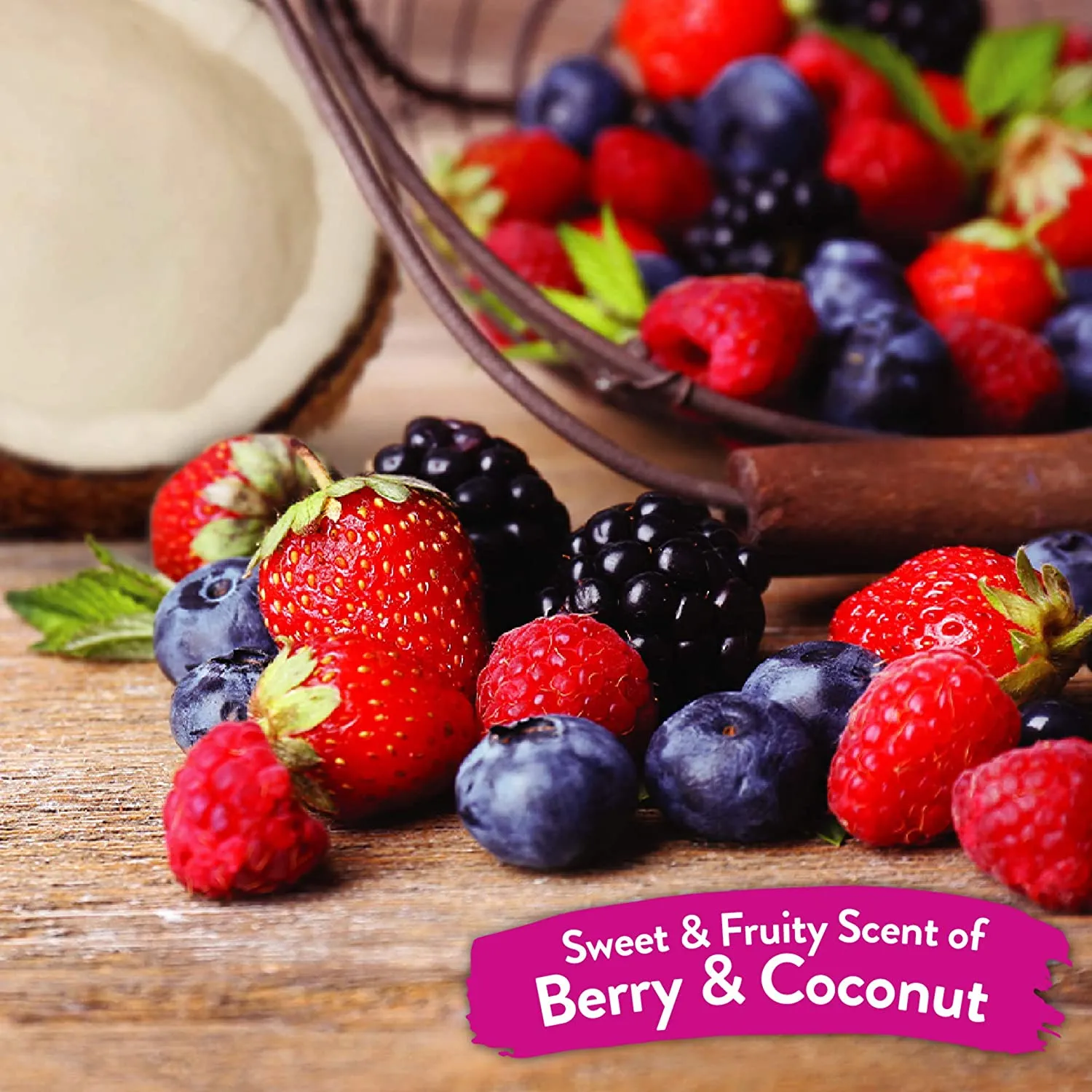 Tropiclean Shampoo, Berry Coconut, 355 ml…